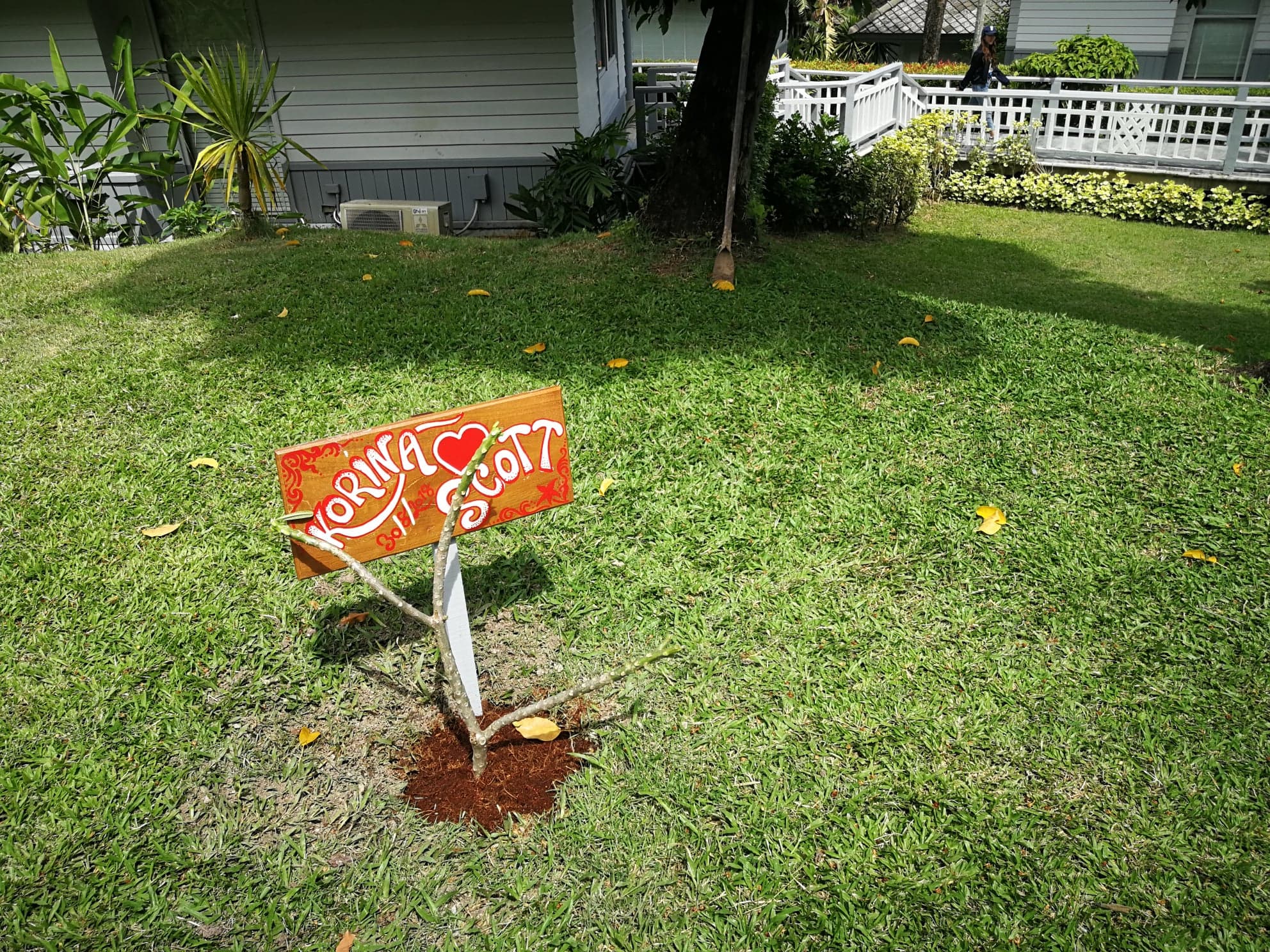 Photo: Laurel Tuohy/Coconuts