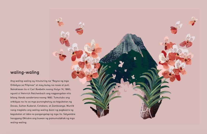 Photo: Pumplepie Books' Facebook account.