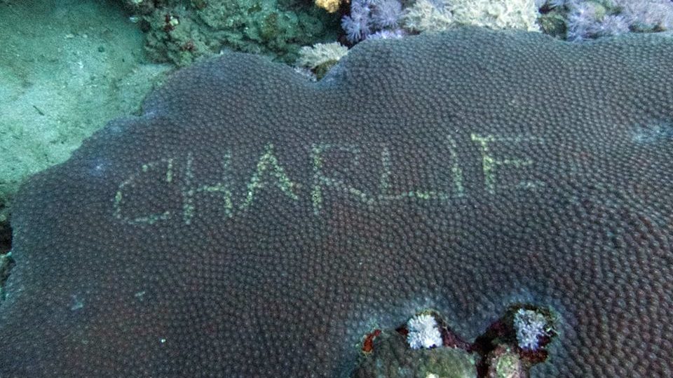 Photo: Vince Tenchavez Facebook page