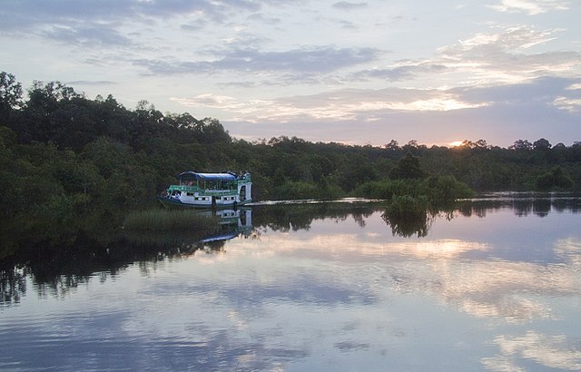 Sunset cruise in Tanjung Puting. Photo: Wikimedia Commons