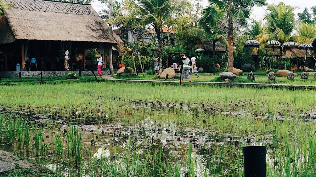 The scene. Photo: Coconuts Bali