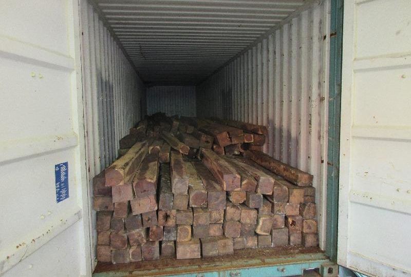 Hong Kong Customs seizes suspected Honduras rosewood (with photo) Jan 17. Picture: Customs.