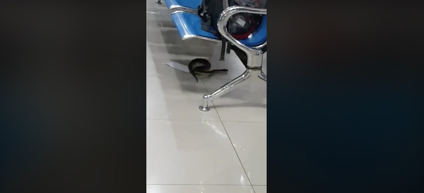 Photo: Screenshot from Leon Quintos Añover Facebook video. 