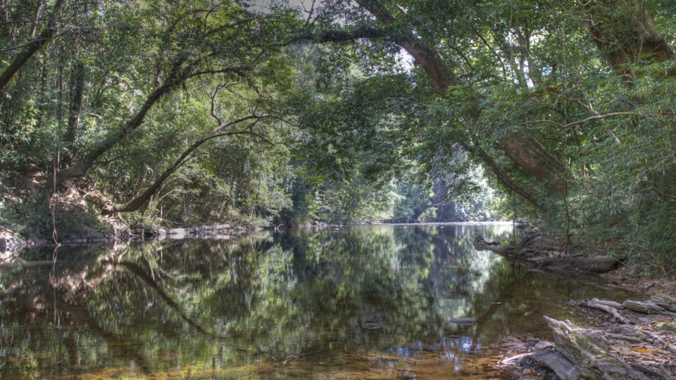 Taman Negara via Wikimedia Commons