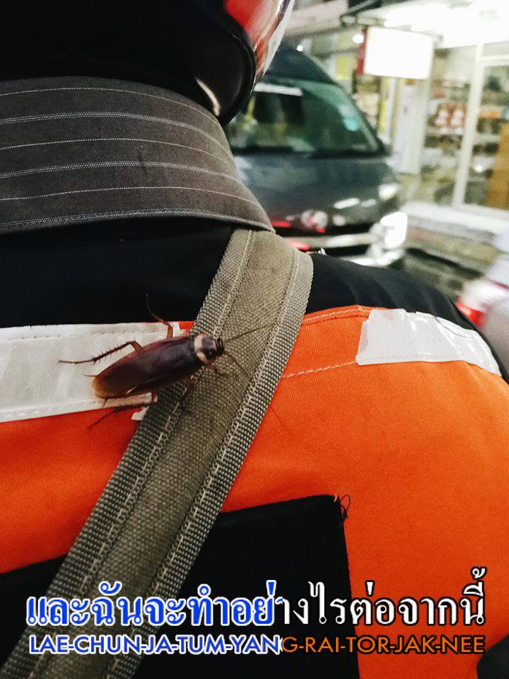 Photo: Mooku Yusuk/ Facebook