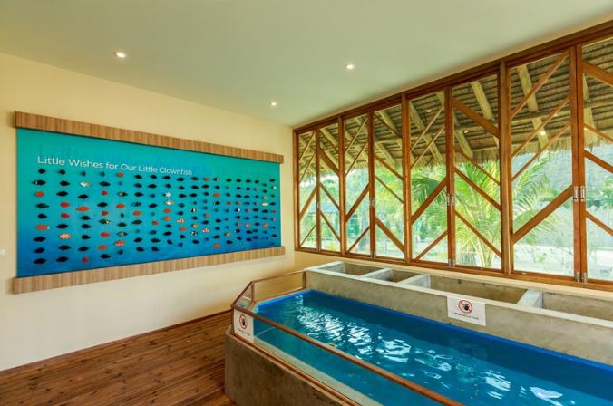 Photo: Phi Phi Island Village Beach Resort