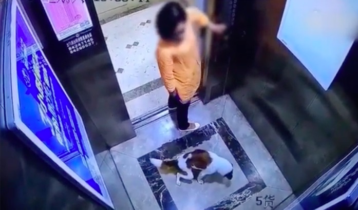 Screengrab via YouTube.