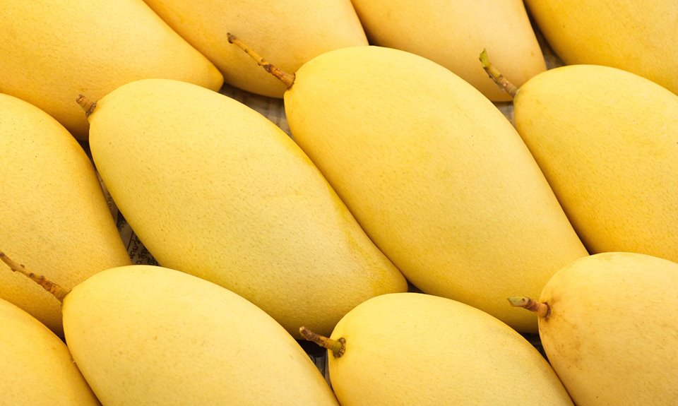 Photo: Manhattan Mango