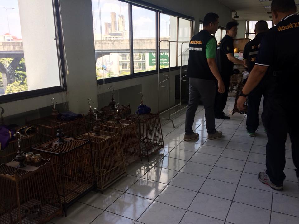 Photo: Facebook/ DNP.Wildhawk