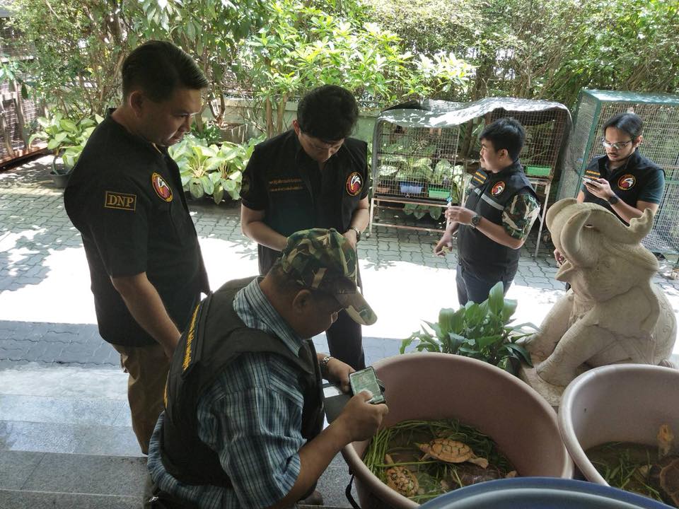 Photo: Facebook/ DNP.Wildhawk