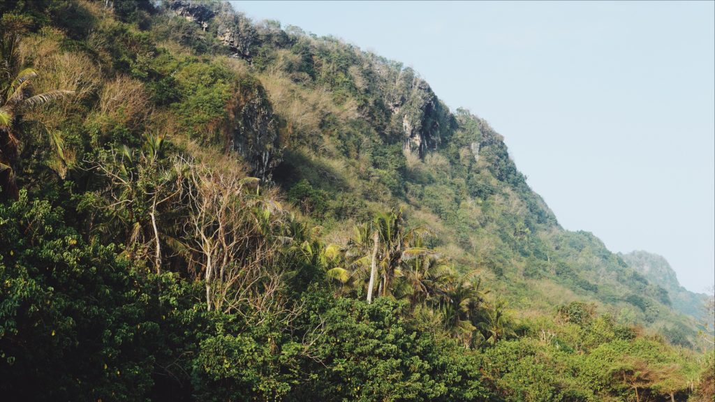 It’s a long way back up. Photo: Coconuts Bali