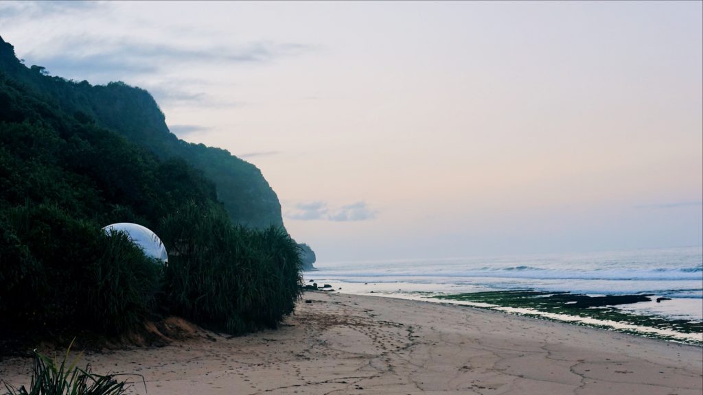 Poking out through the bushes. Photo: Coconuts Bali