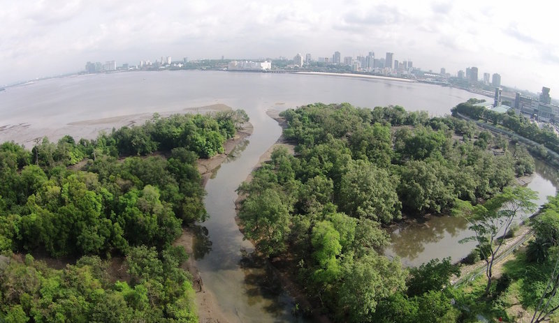 The Mandai Mangrove and Mudflat. Photo: NParks/Facebook