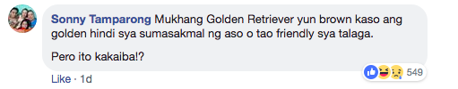 Photo: Screenshot from Marklin Cogo Facebook page