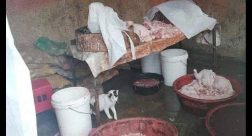 Cat, if it looks too good to be true, it probably is via Facebook