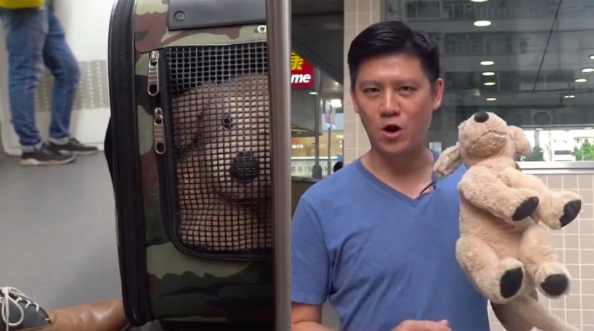 Jeremy Tam demonstrates how most Hongkongers don’t mind sharing a train carriage with a dog as long as it’s inside a dog bag. Screengrab via Facebook video.