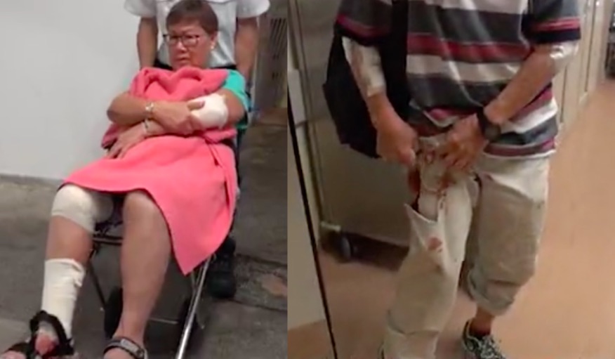 (Left) a 65-year-old woman surnamed Chan being taken to an ambulance after she was attacked by a wild boar outside a public toilet, (right) a 79-year-old man shows a reporter a tear in his pants after fending off the same wild boar that morning. Screengrabs via Apple Daily.