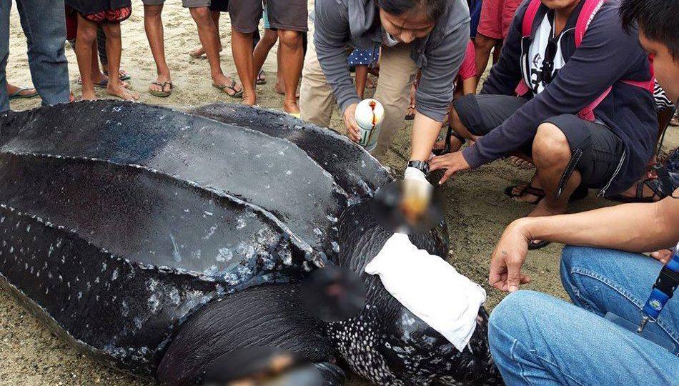 Photo: Ronnie Relles/ABS-CBN News.