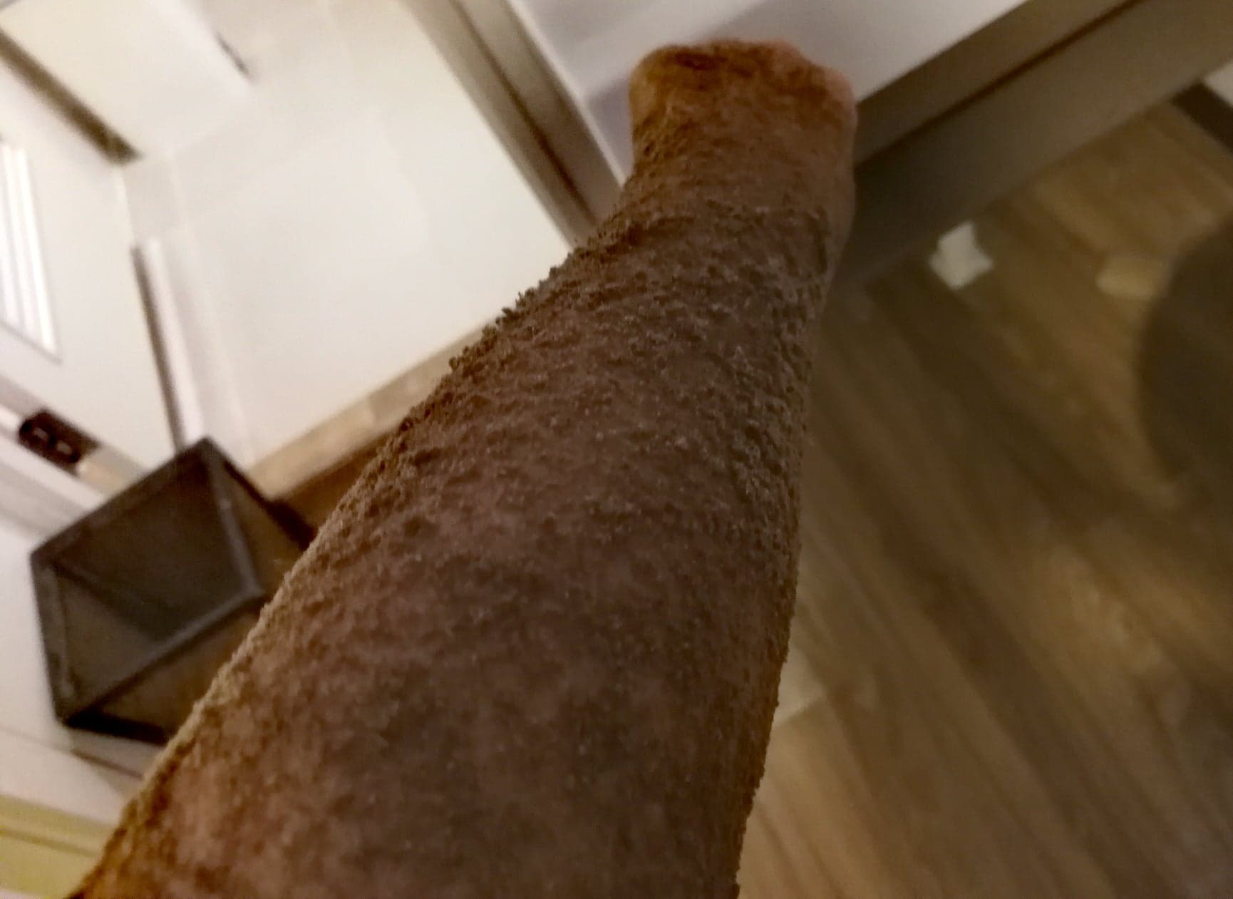 Photo: Laurel Tuohy/Coconuts