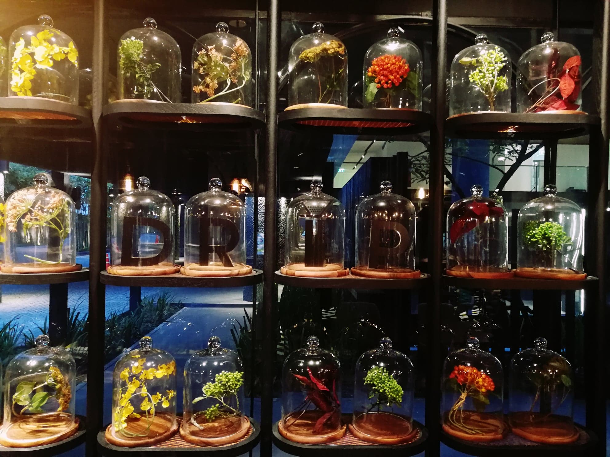 Photo: Laurel Tuohy/Coconuts