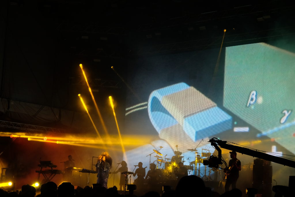 Erykah Badu. Photo by Tomas Wiik.