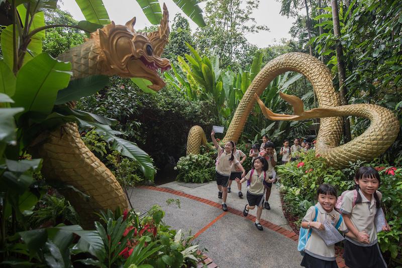 Photo: Wildlife Reserves Singapore