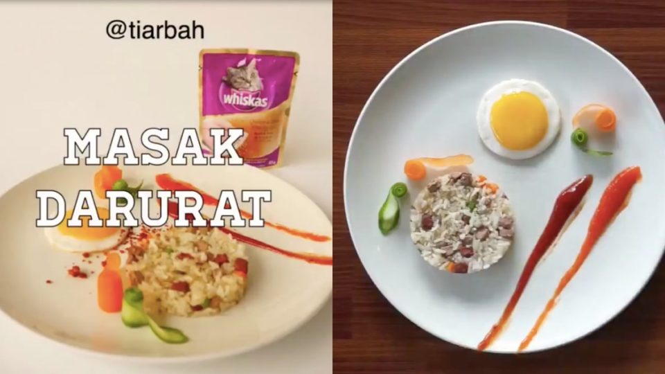 Would you eat nasi goreng with cat food? Photo: Twitter/@Tiarbah