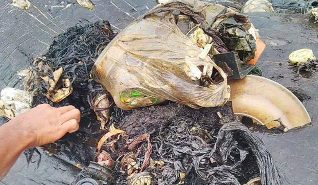 Plastic waste found inside the stomach of a dead sperm whale in Indonesia on Nov 18, 2918. Photo: World Wildlife Fund Indonesia / Kartika Sumolang