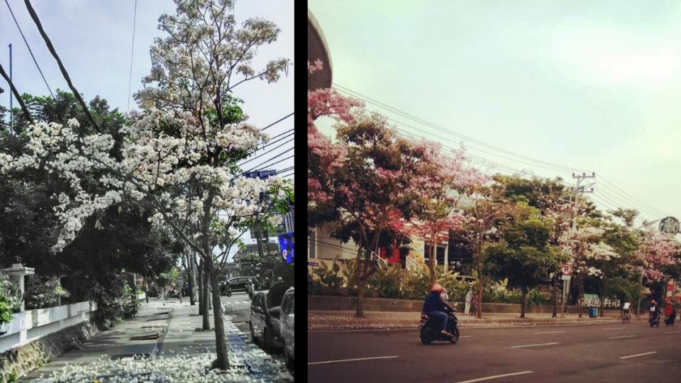 Photos: @rudy.lewuk (right) / @vita_sherdea (left) / Instagram
