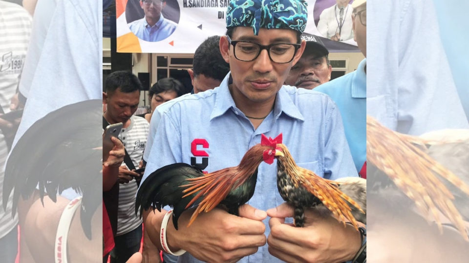 File photo of Tourism and Creative Economy Minister Sandiaga Uno and roosters. Photo: Instagram/@sandiuno