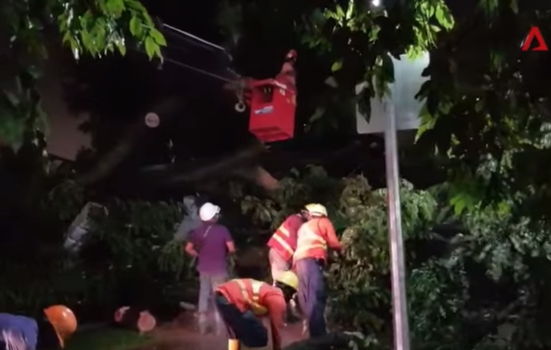 CNA video screengrab