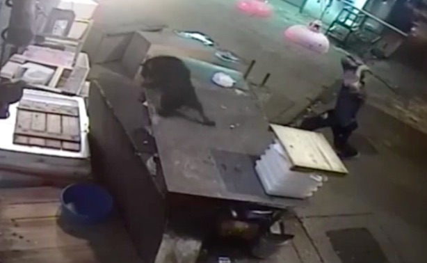 CCTV footage posted online shows the moment a man lunges towards a black dog outside a grocery store with a golf club. Screengrab via Apple Daily video.