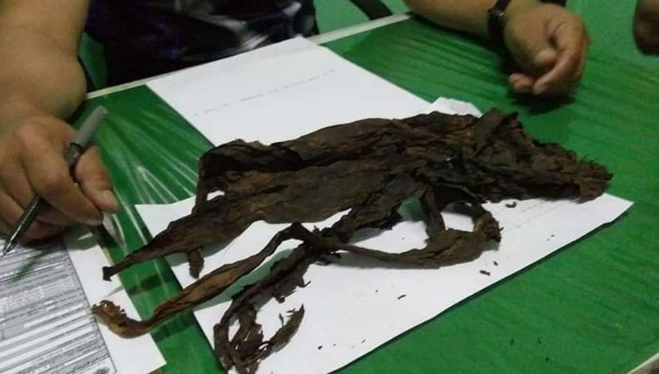 Photo: ABS-CBN News. 