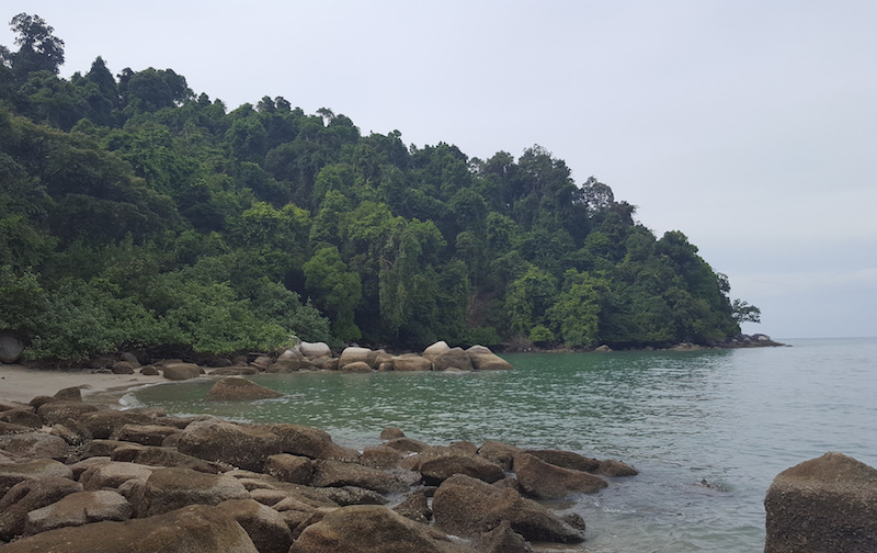 Monkey Beach at Penang's National Park. Photo: walkaholic.me/Flickr