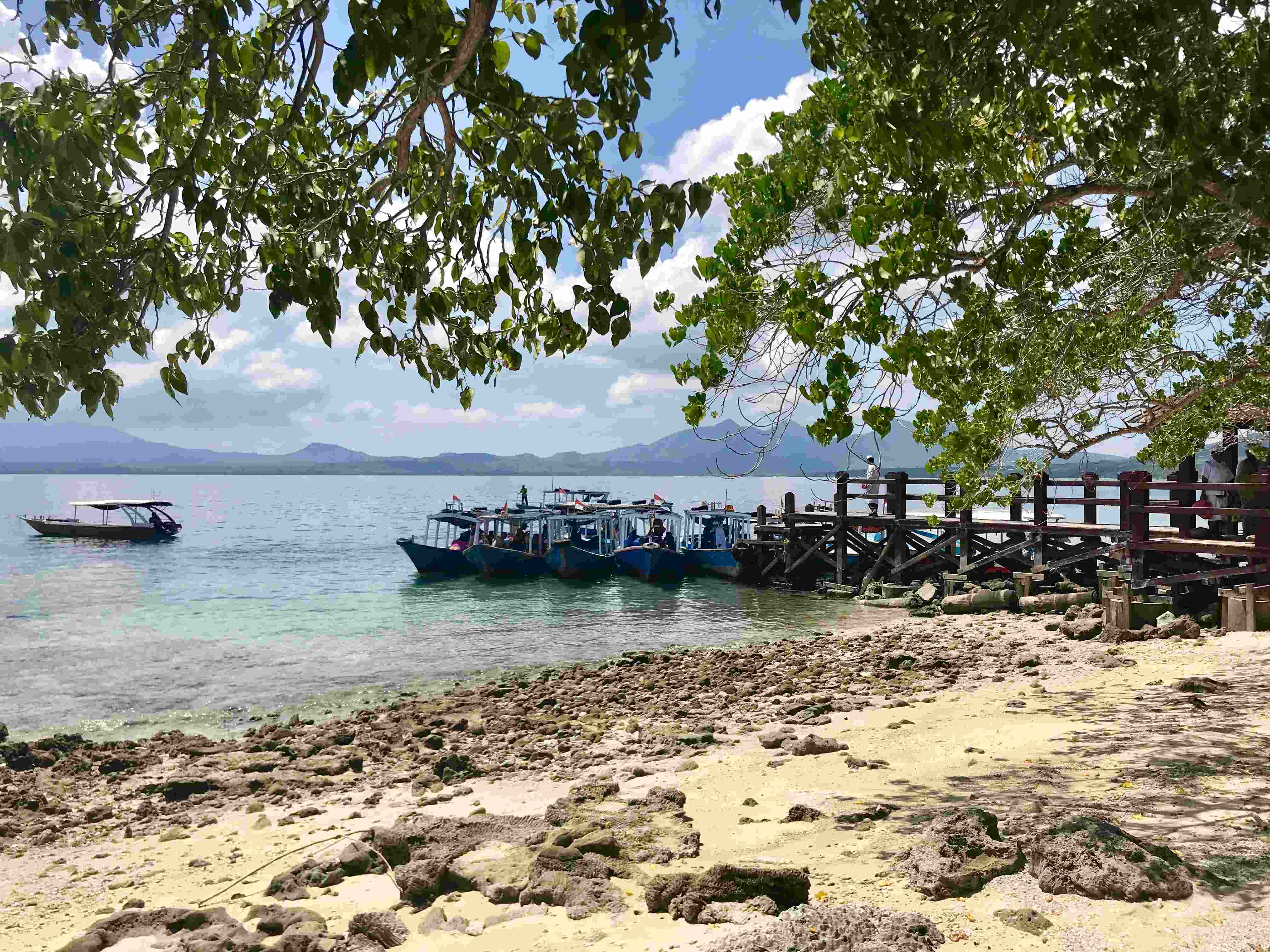 Menjangan Island. Photo: Coconuts Bali