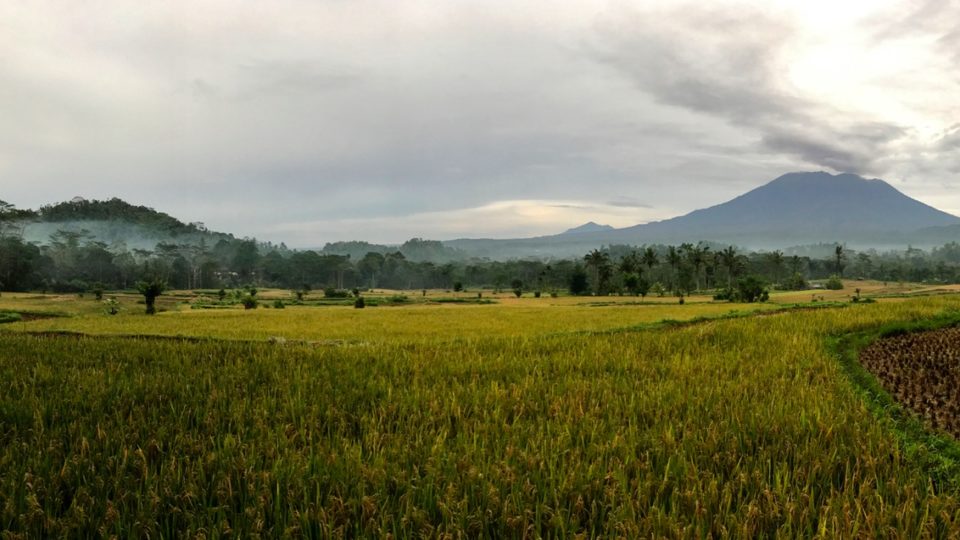 Mount Agung on a calm day. Photo: Coconuts Bali