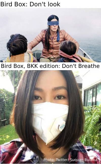 Graphic: Teirra Kamolvattanavith: Screenshot: Birdbox and Photo: Twitter/ Suquan Balakul