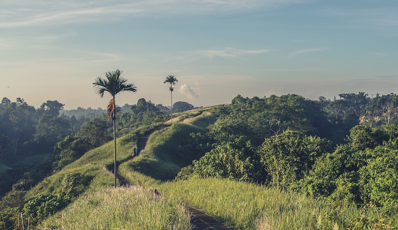 File photo of a hill in Bali. Photo: Sven Scheuermeier/Unsplash