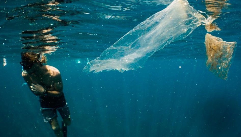 A swimmer encounters more than just marine life during a swim in Bali. Photo: Going Epic Places/FB