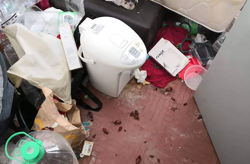 Rubbish, roaches and dog poop. Yep. via Facebook 