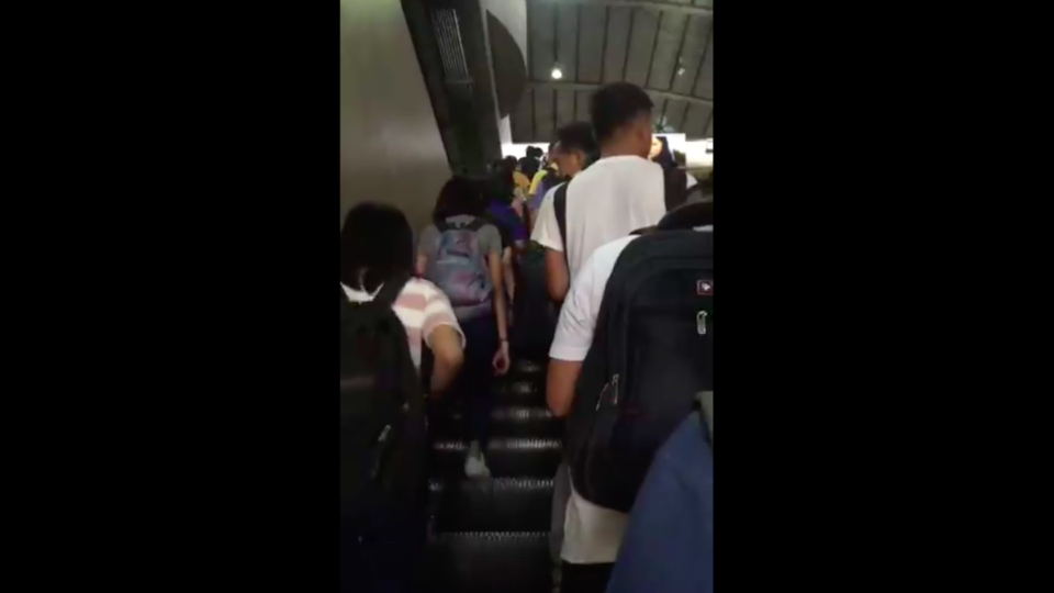 Photo: @_gabriellamara/Twitter