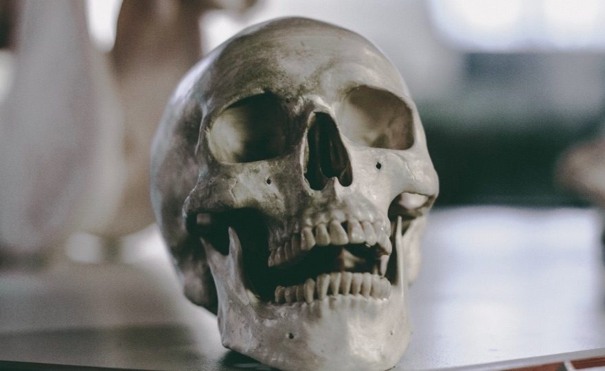 The skull and bones have been taken to Sanglah Hospital for a forensic examination. Photo: pxhere