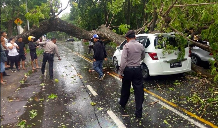 More than 20 trees are reported to have fallen in the Denpasar area alone yesterday. Photo: Facebook/Bali Police Public Relations