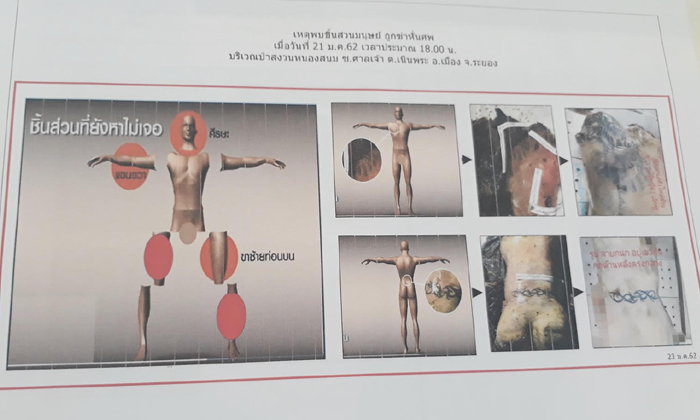 Police illustration showing how the victim's body was dismembered. Photo: Sanook