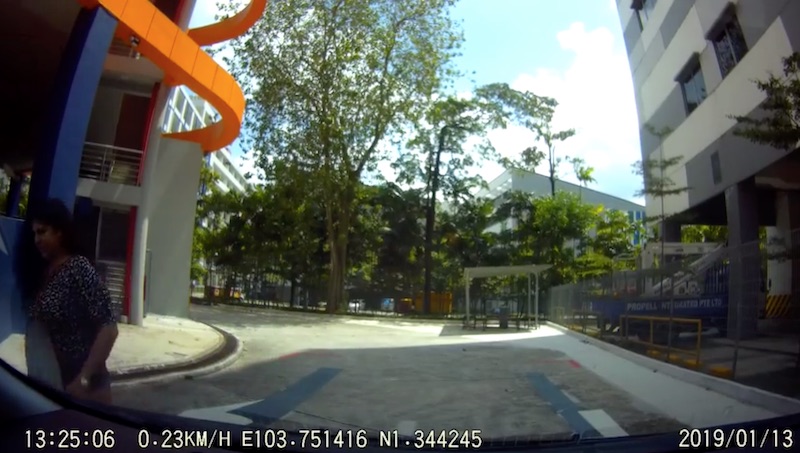Video screengrab