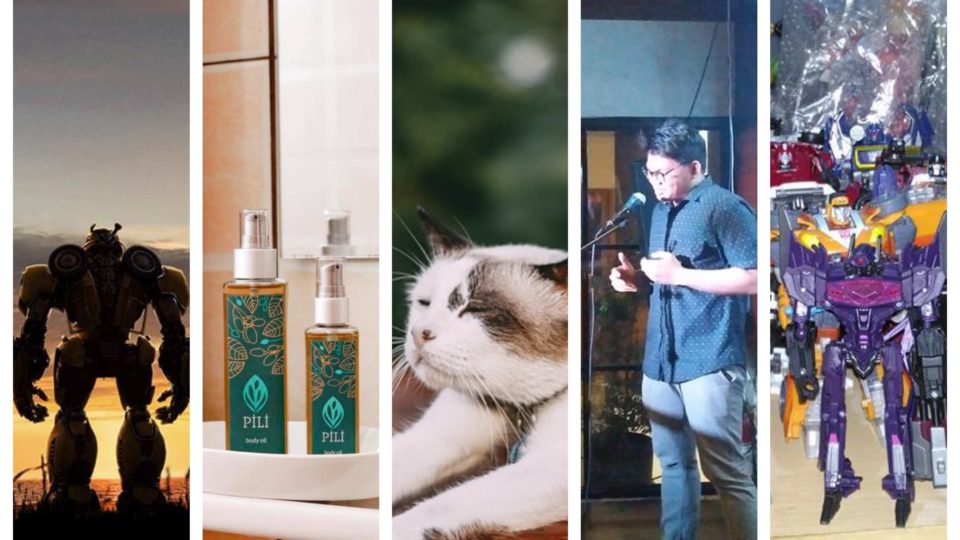 Photo: Pixabay; Bumblebee, Pili Beauty and Wellness, Laya Manila, and Zuljin Hobby Shop Facebook pages. 