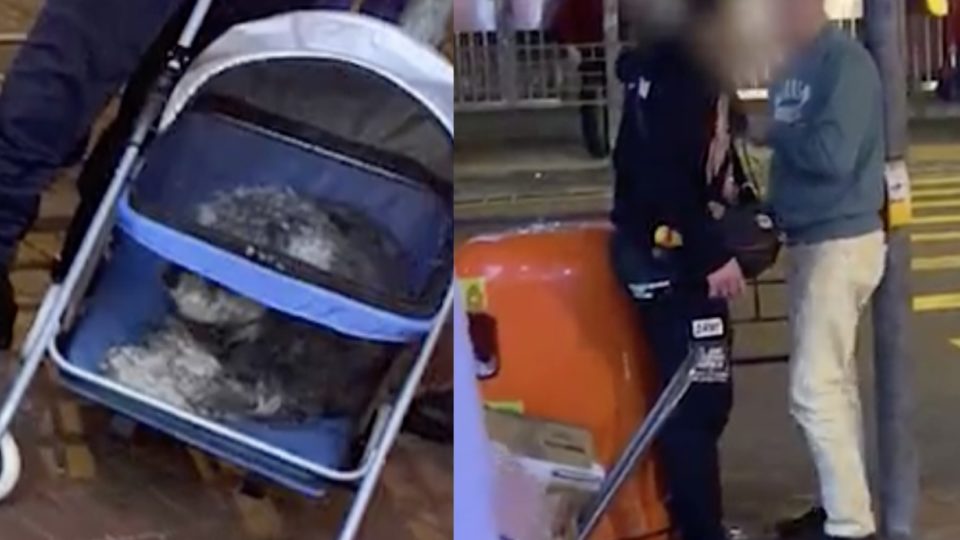 Screengrab via Apple Daily video.