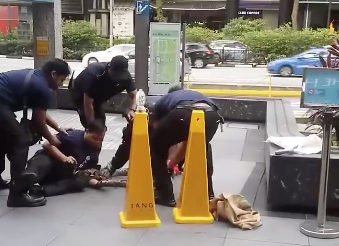 video screengrab