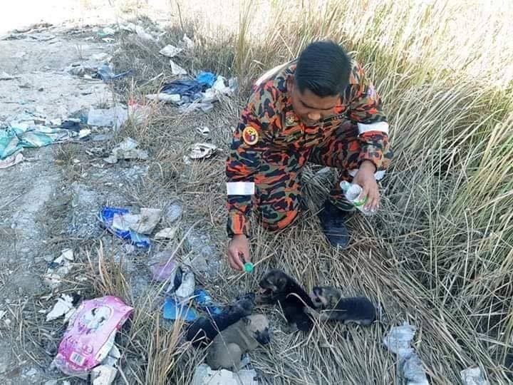 via Penang Kini/Bomba