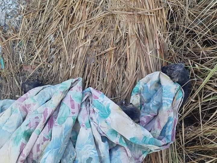 via Penang Kini/Bomba